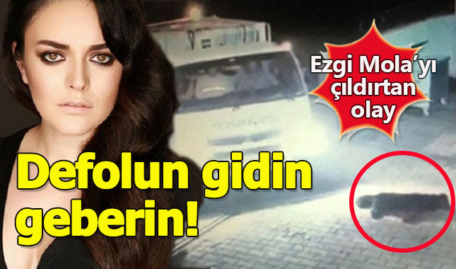 Ezgi Mola köpeğin üzerinden geçen caniye ateş püskürdü