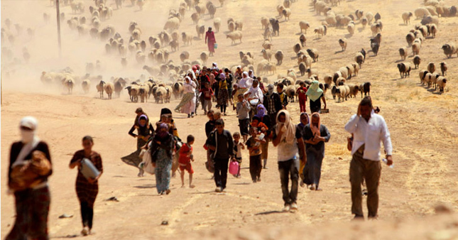 Ezidi nedir, Ezidiler kimdir?