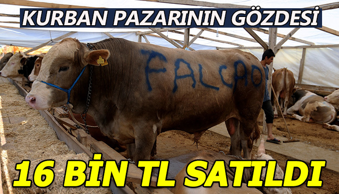 Falcao 16 bin liraya satıldı