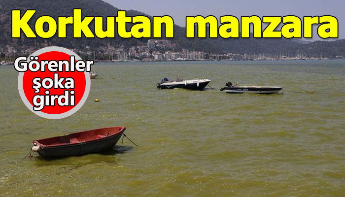 Fethiye'de korkutan manzara
