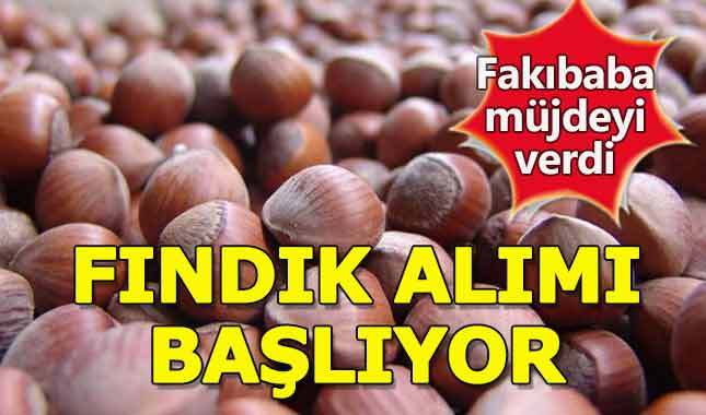 Fındık alım fiyatı ne kadar - 2018 Giresun, Levant, Ordu TMO fındık fiyatları