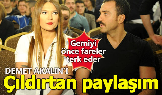 "Gemiyi önce fareler terk eder" mesajını okuyan Demet çılgına döndü