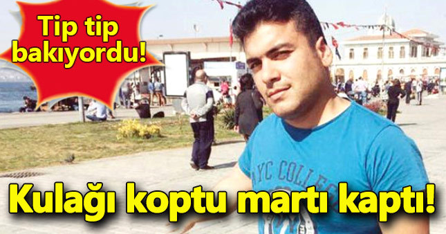 Gencin kopan kulağını martı mı kaptı?