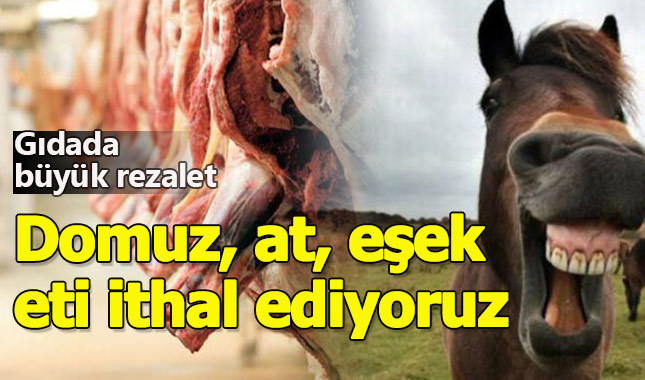 Gıdada büyük rezalet, at ve eşek eti ithal ediyoruz