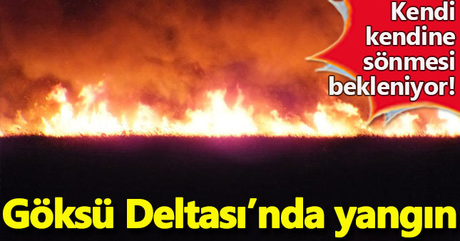 Göksu Deltası’nda yangın