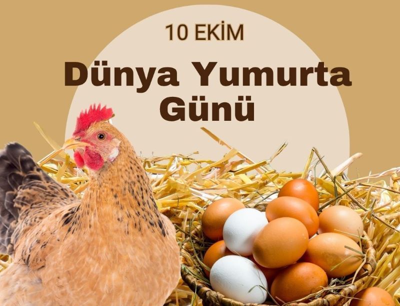 “Güçlü Yumurta: Doğal Besinlerle Dolu”