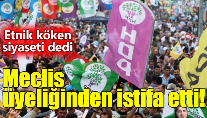 HDP'li Meclis üyesi partisinden istifa etti!