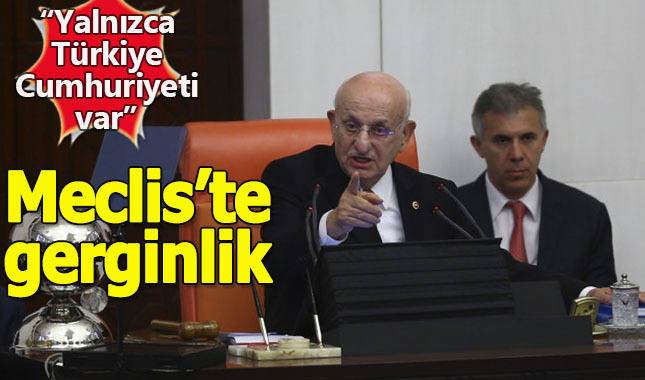 HDP'li vekil "Kürt İlleri" dedi, Meclis Başkanı çıldırdı