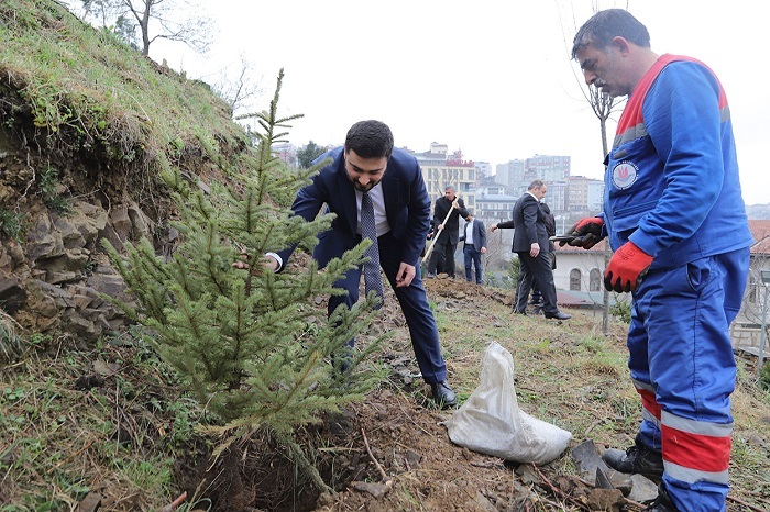 HER BEBEK BİR AĞAÇLA BÜYÜYOR: KÂĞITHANE&#39;DE YEŞİL GELECEK