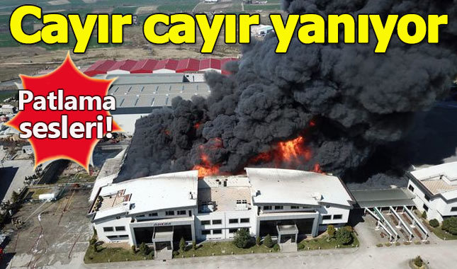 Hadımköy'de kimya fabrikasında yangın!
