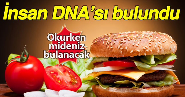 Hamburgerde insan ve fare DNA'sı skandalı