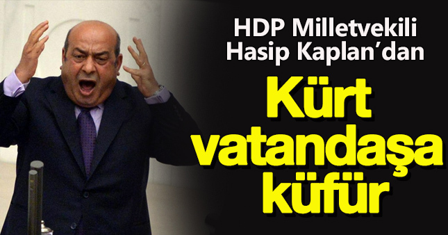 Hasip Kaplan'dan sokağa çıkmayan kürtlere küfür