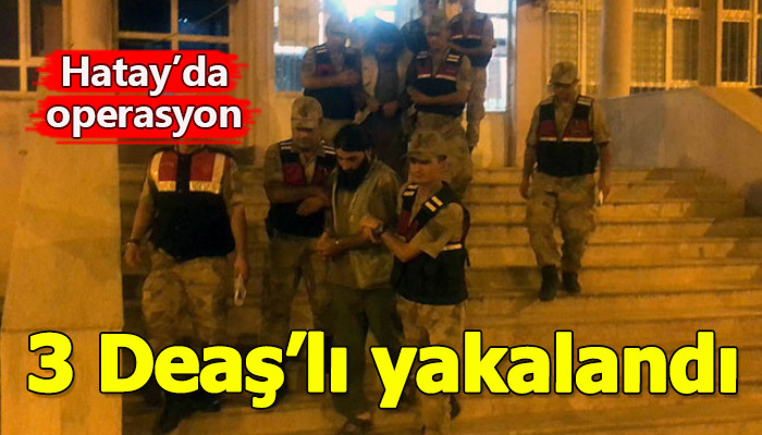 Hatay'da Deaş'a operasyon