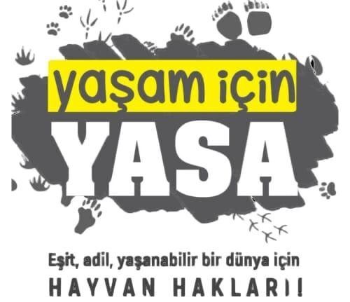 Hayvan hakkı savunucuları: "Yasayı sokakta biz yazacağız!"