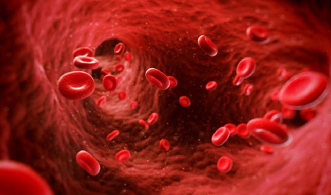 Hemofili nedir? Belirtileri nelerdir "Dünya Hemofili Günü" hangi tarihte? hastalığın testi var mı pıhtılaşma nasıl olur
