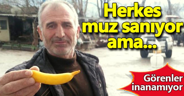 Herkes muz zannediyor ama...