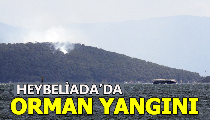 Heybeliada'da yangın