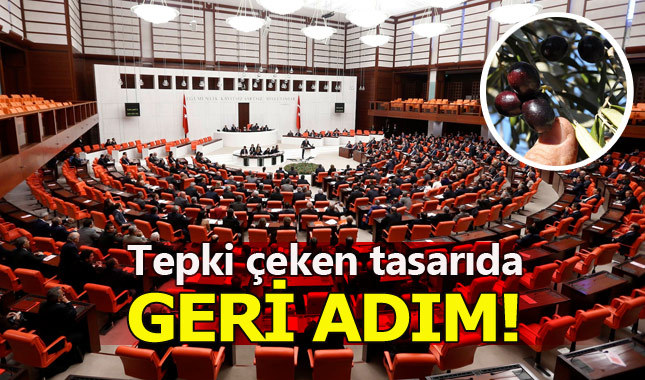 Hükümetin zeytinlik düzenlemesi tasarıdan çıkarılıyor
