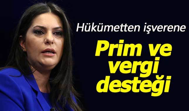 Hükümetten işverene prim ve vergi desteği