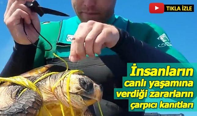 İnsanlığın çevreye verdiği zararların çarpıcı kanıtları