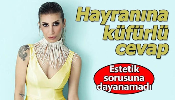 İrem Derici'nin hayranına küfürlü cevap vermesi
