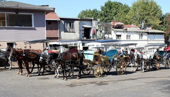 İstanbul Adalar için fayton yerine araç!