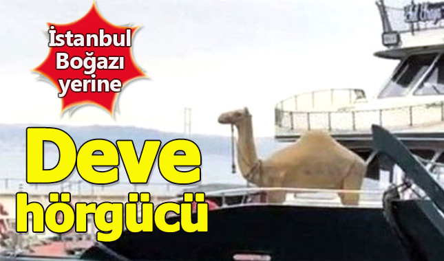 İstanbul Boğazı yerine deve hörgücü