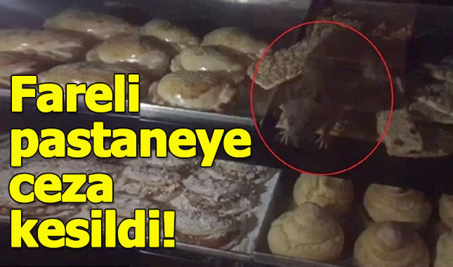 İstanbul'da farelerin dolandığı pastaneye kilit vuruldu!