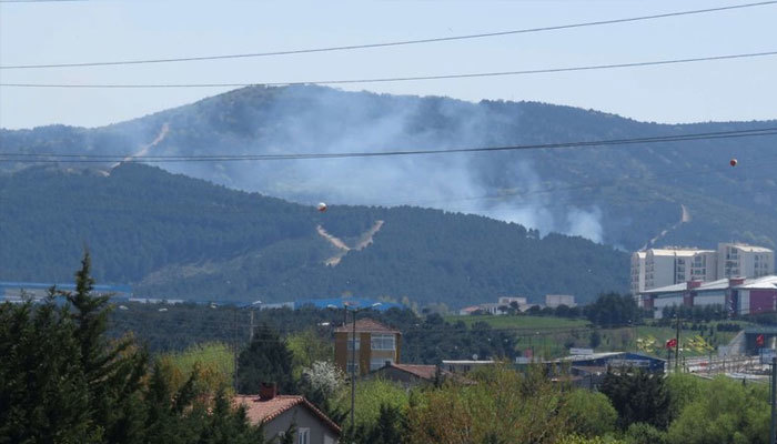 İstanbul'da orman yangını! Korku dolu anlar yaşattı