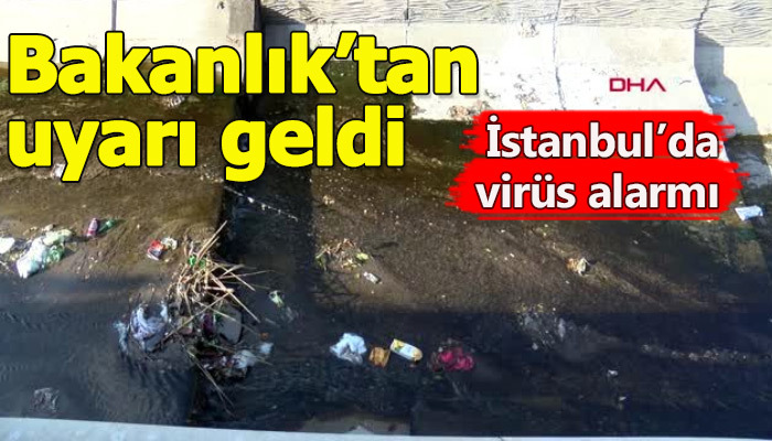 İstanbul'da virüs paniği