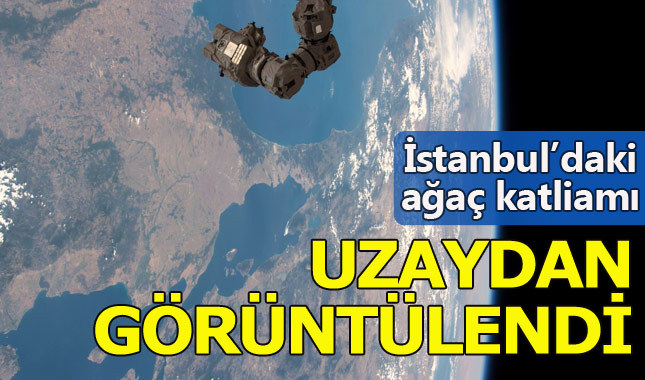 İstanbul'daki ağaç katliamı uzaydan görüntülendi