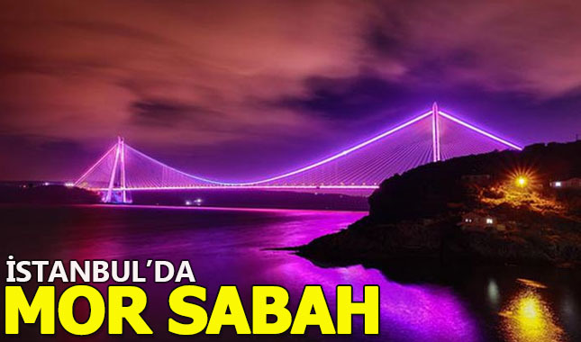 İstanbul'un sembol yapıları mor ışıkla aydınlatıldı