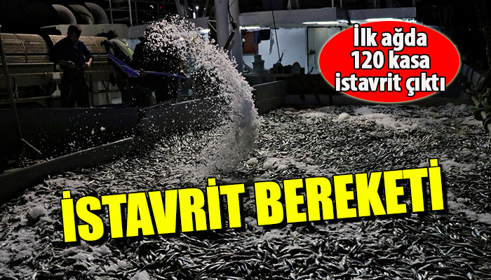 İstavritte bereketli açılış