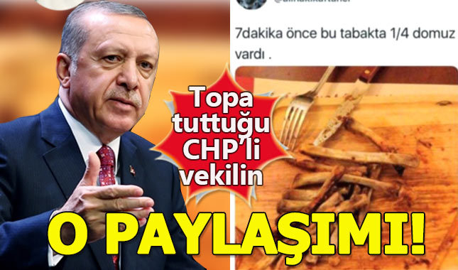 İşte Erdoğan'ın bahsettiği 'Çeyrek domuzu 7 dakikada yiyen' CHP'li vekilin eşinin paylaşımı