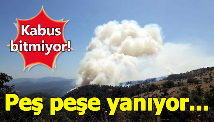 İzmir, Karabağlar'dan sonra iki şehrini daha yangına kurban verdi!