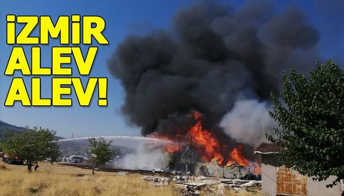 İzmir'de palet deposunda yangın çıktı