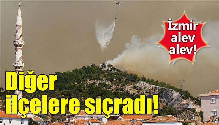 İzmir'deki orman yangınının önüne geçilemiyor! Şimdi de Menderes ve Seferihisar'a sıçradı!