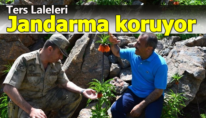 Jandarma koruyor dokunana ceza
