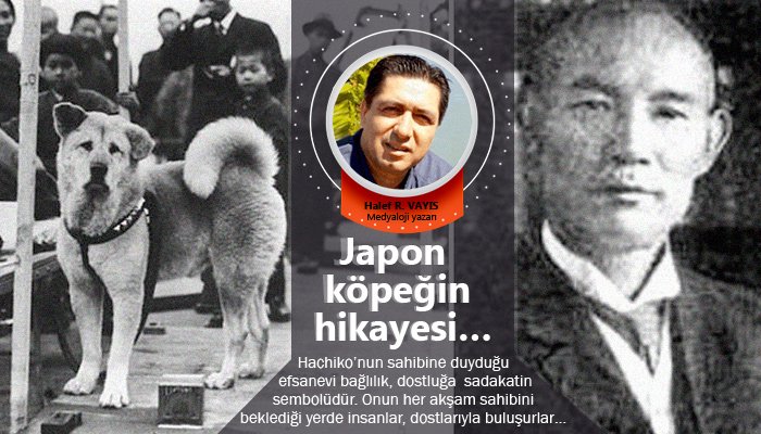 Japon köpeğin hikayesi…