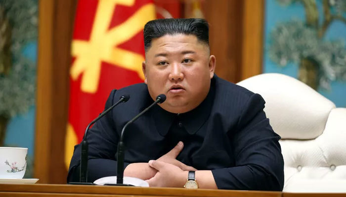 Japonya basını: Kuzey Kore lideri bitkisel hayatta