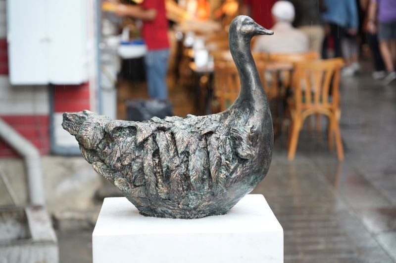 KADIKÖY'ÜN MASKOTU RODİ YENİDEN ÇARŞI'DA
