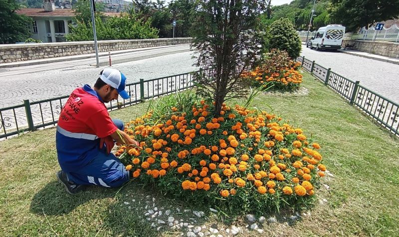 KÂĞITHANE BELEDİYESİ YEŞİL ALANLARA GÖZÜ GİBİ BAKIYOR