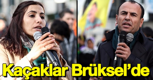 Kaçak HDP'liler Brüksel'de ortaya çıktı!