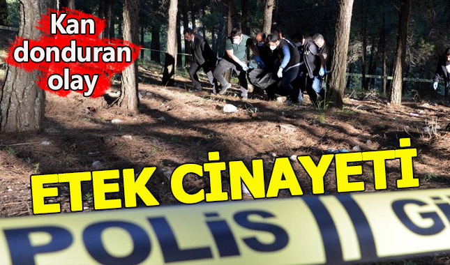 Kahramanmaraş'ta etek cinayeti