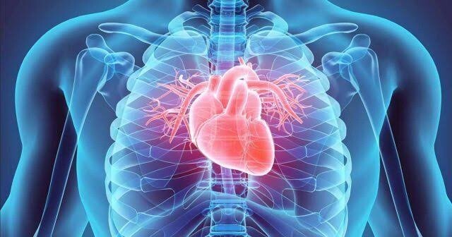 Kalp ve damar hastalıkları riskini yönetmek ve azaltmak mümkün