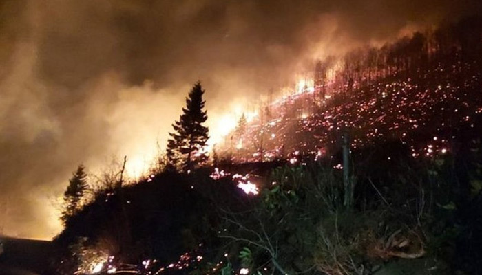 Karadeniz alev alev! 4 ilde peş peşe orman yangını...