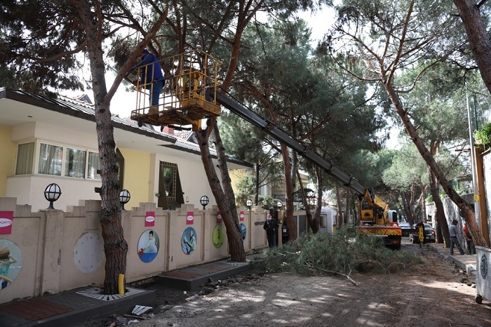Kartal Belediyesi Park ve Bahçeler Müdürlüğü'nden Yaz Seferberliği