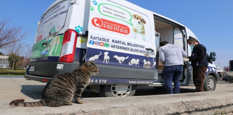 Kartal Belediyesi kısıtlama günlerinde sokak canlarının yanında