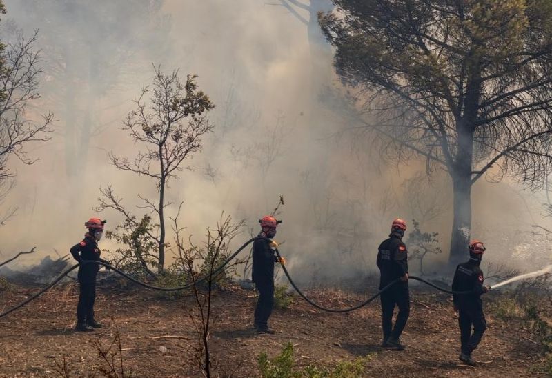 Kartal Belediyesi'nden Balıkesir'deki Orman Yangını Müdahalelerine Destek