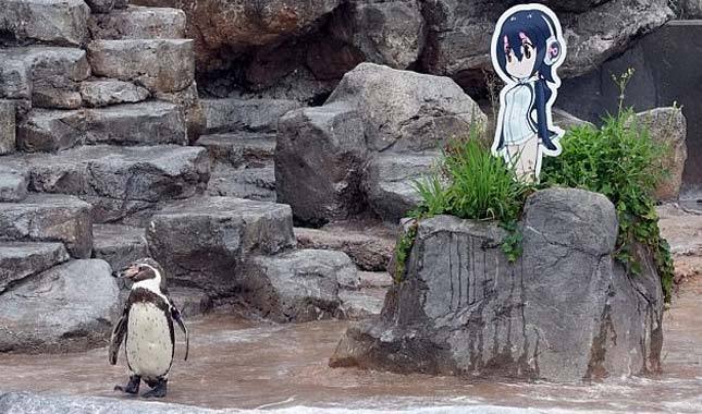 'Karton' sevgilisinden ayrılan penguen aşk acısı çekiyor